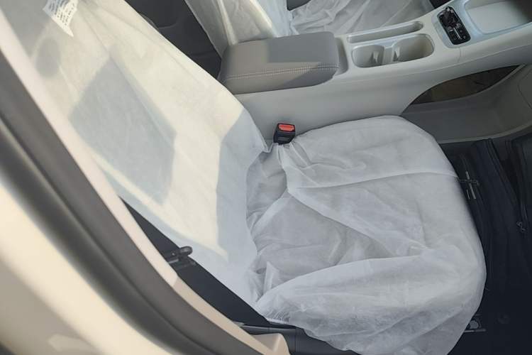Used Geely Galaxy Geome 2026 310km Aspiration Edition Right Front Seat