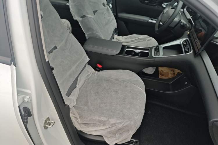 Used Geely Galaxy Geome 2026 410km Wind-Riding Edition Right Front Seat