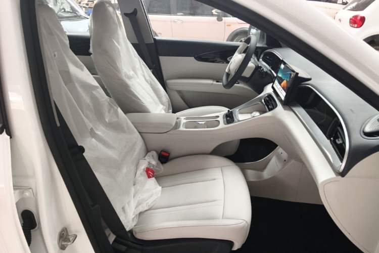 Used Geely Galaxy Geome 2026 Model 310km Youth Edition Right Front Seat
