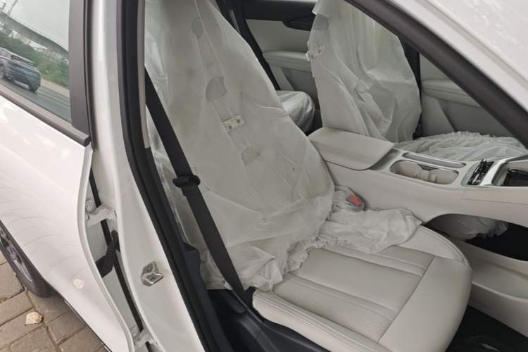 Used Geely Galaxy Geome 2026 Model 310km Dream Edition Right Front Seat