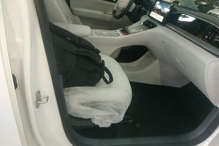 Used Geely Galaxy Geome 2026 Model 310km Youth Edition Right Front Seat