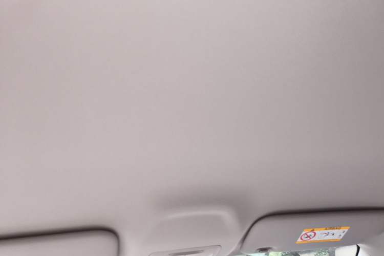 Used Geely Galaxy Geome 2026 Model 410km Freedom Edition Headliner