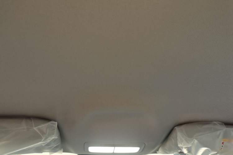 Used Geely Galaxy Geome 2026 Model 310km Youth Edition Headliner