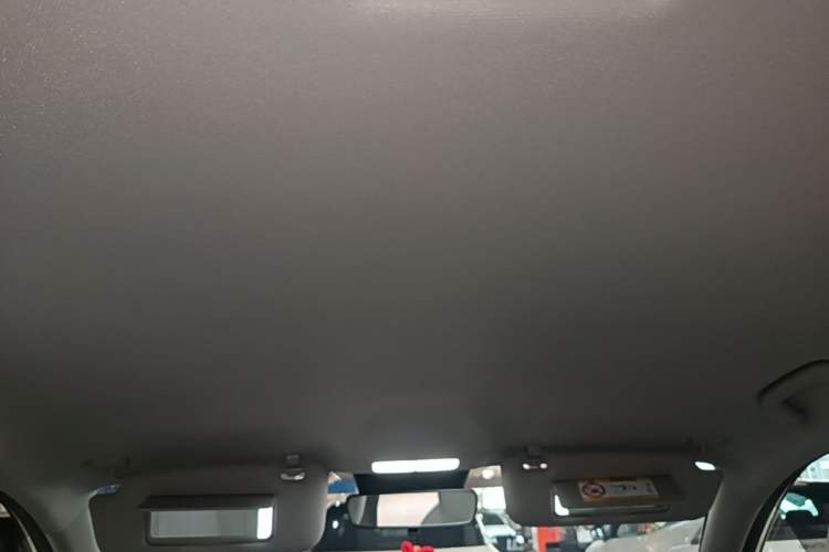 Used Geely Galaxy Geome 2026 Model 310km Youth Edition Headliner