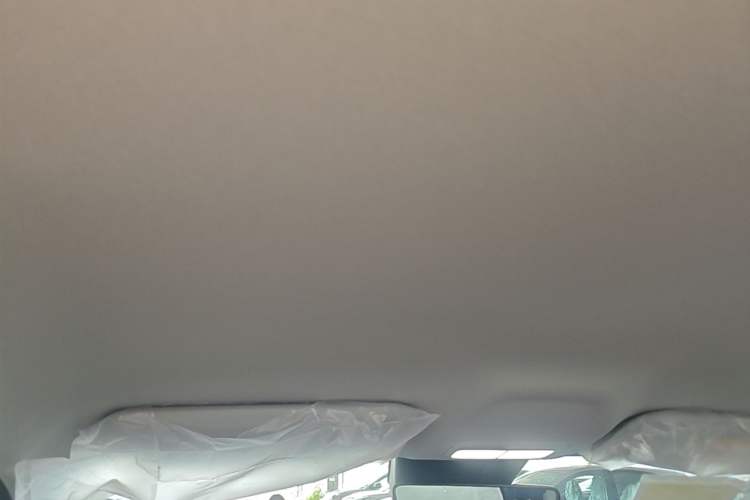 Used Geely Galaxy Geome 2026 Model 310km Dream Edition Headliner