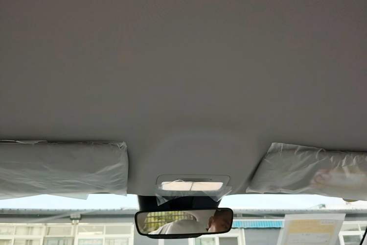 Used Geely Galaxy Geome 2026 Model 310km Youth Edition Headliner