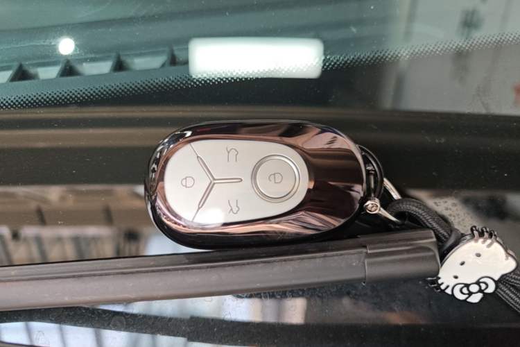 Used Geely Galaxy Geome 2026 Model 310km Dream Edition Interior 1