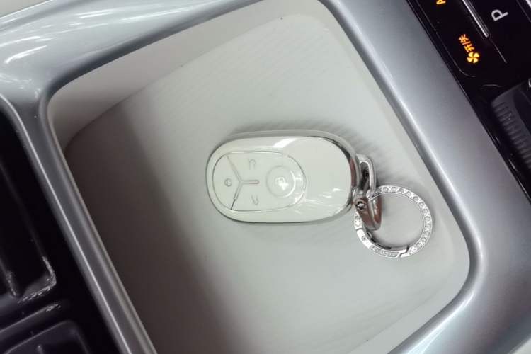 Used Geely Galaxy Geome 2026 Model 310km Dream Edition Interior 1