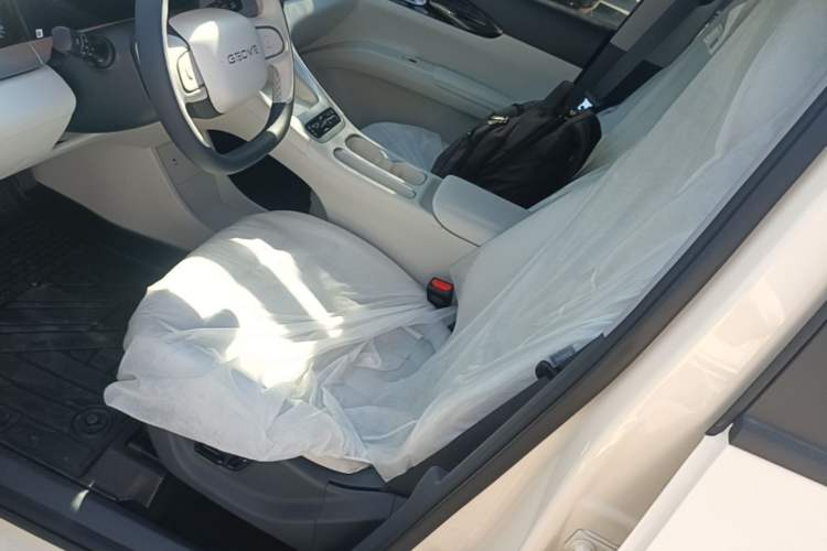 Used Geely Galaxy Geome 2026 Model 310km Dream Edition Left Front Seat