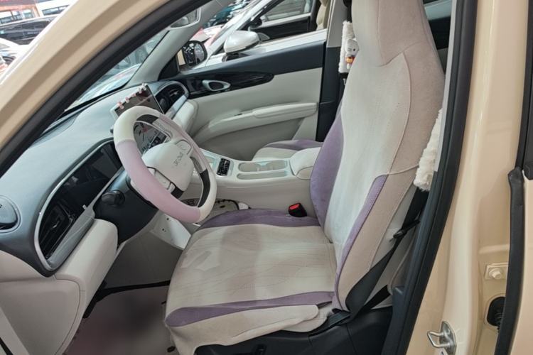 Used Geely Galaxy Geome 2026 Model 310km Dream Edition Left Front Seat