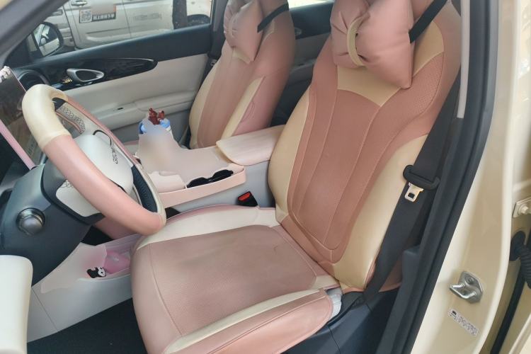 Used Geely Galaxy Geome 2026 Model 310km Dream Edition Left Front Seat