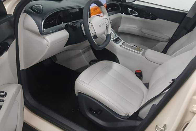 Used Geely Galaxy Geome 2026 Model 310km Dream Edition Left Front Seat