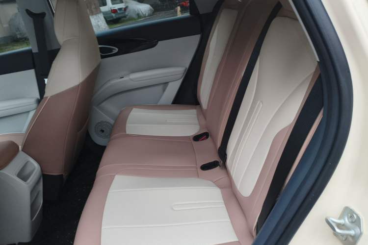 Used Geely Galaxy Geome 2026 Model 410km Freedom Edition Left Rear Seat