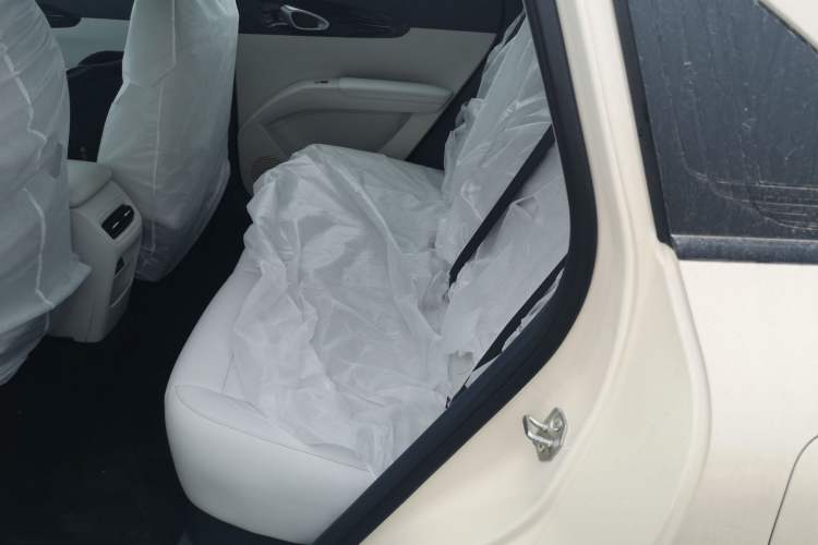 Used Geely Galaxy Geome 2026 Model 310km Dream Edition Left Rear Seat