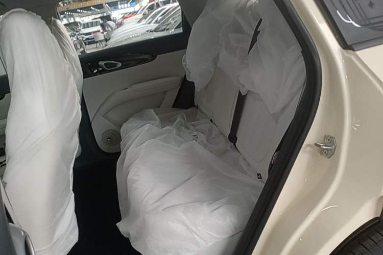 Used Geely Galaxy Geome 2026 Model 410km Freedom Edition Left Rear Seat