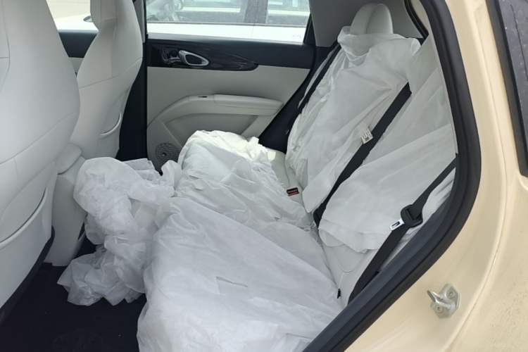 Used Geely Galaxy Geome 2026 Model 410km Carefree Edition Left Rear Seat