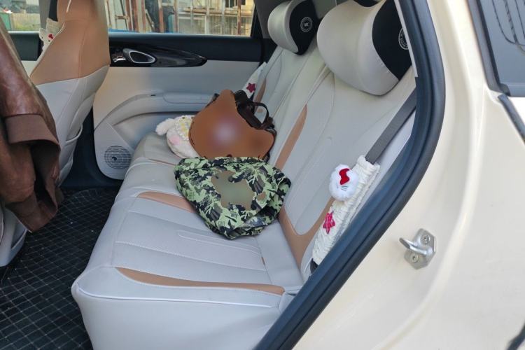 Used Geely Galaxy Geome 2026 Model 410km Freedom Edition Left Rear Seat