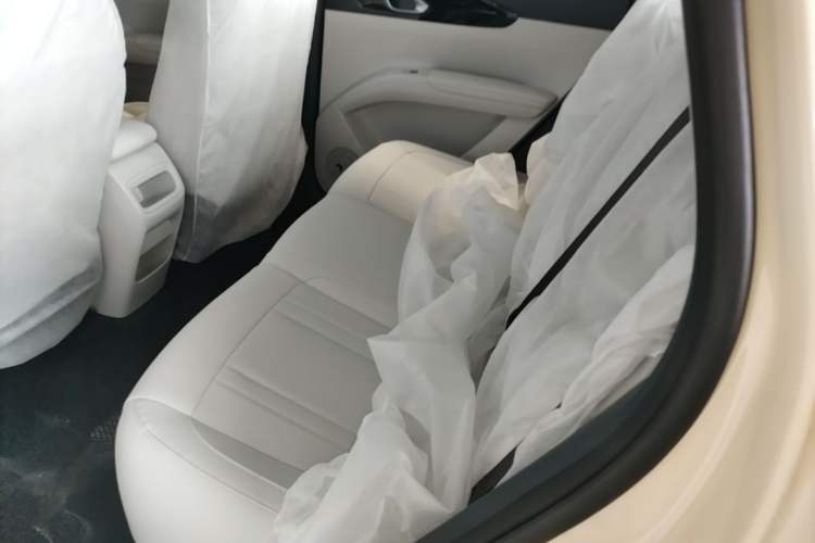 Used Geely Galaxy Geome 2026 Model 310km Youth Edition Left Rear Seat