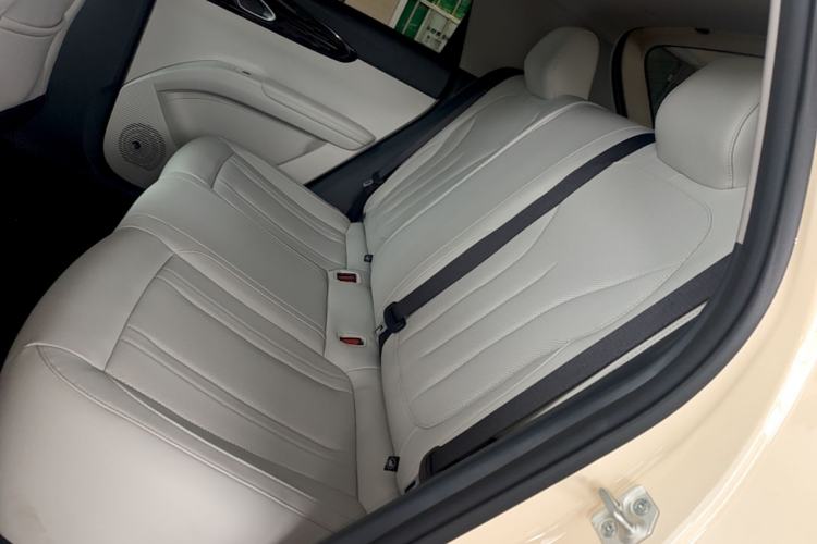 Used Geely Galaxy Geome 2026 Model 310km Dream Edition Left Rear Seat
