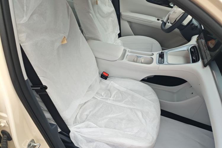 Used Geely Galaxy Geome 2026 Model 310km Dream Edition Right Front Seat
