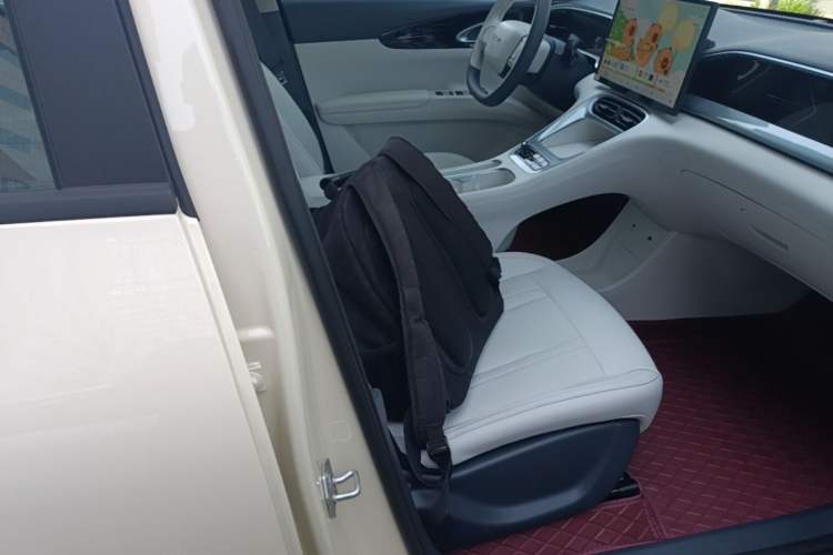 Used Geely Galaxy Geome 2026 Model 410km Freedom Edition Right Front Seat