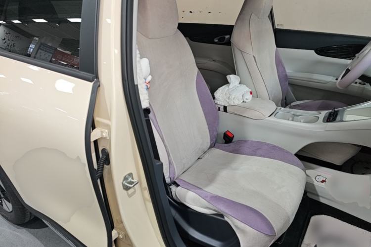 Used Geely Galaxy Geome 2026 Model 310km Dream Edition Right Front Seat