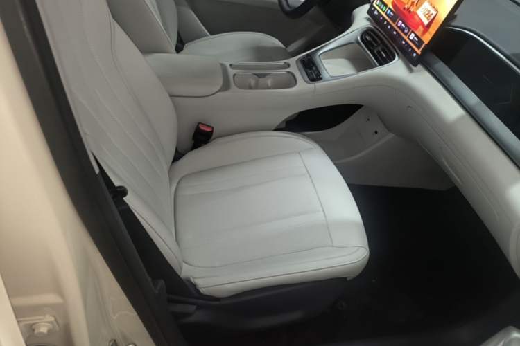 Used Geely Galaxy Geome 2026 Model 310km Dream Edition Right Front Seat