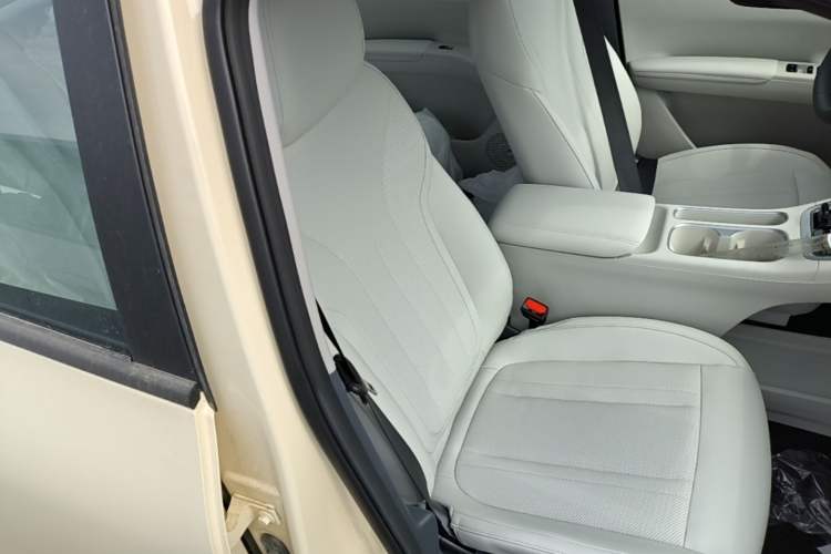 Used Geely Galaxy Geome 2026 Model 310km Youth Edition Right Front Seat