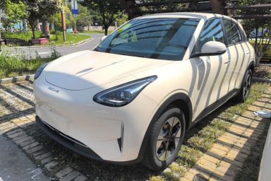 Used Geely Galaxy Geome 2026 Model 310km Dream Edition