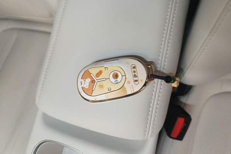 Used Geely Galaxy Geome 2026 Model 310km Youth Edition Vehicle Key