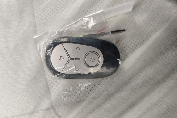 Used Geely Galaxy Geome 2026 Model 310km Youth Edition Vehicle Key