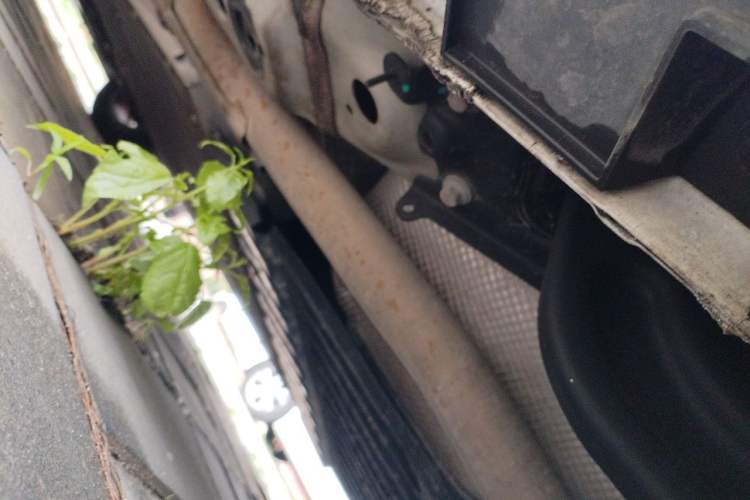 Used Geely Galaxy L6 2023 60km PLUS Chassis Rear Left