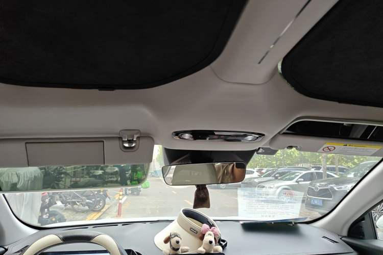 Used Geely Galaxy L6 2023 125km MAX Headliner