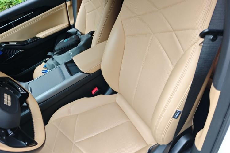 Used Geely Galaxy L6 2023 60km PLUS Left Front Seat