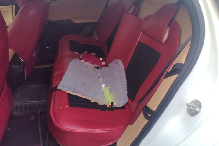 Used Geely Galaxy L6 2023 60km AIR Left Rear Seat