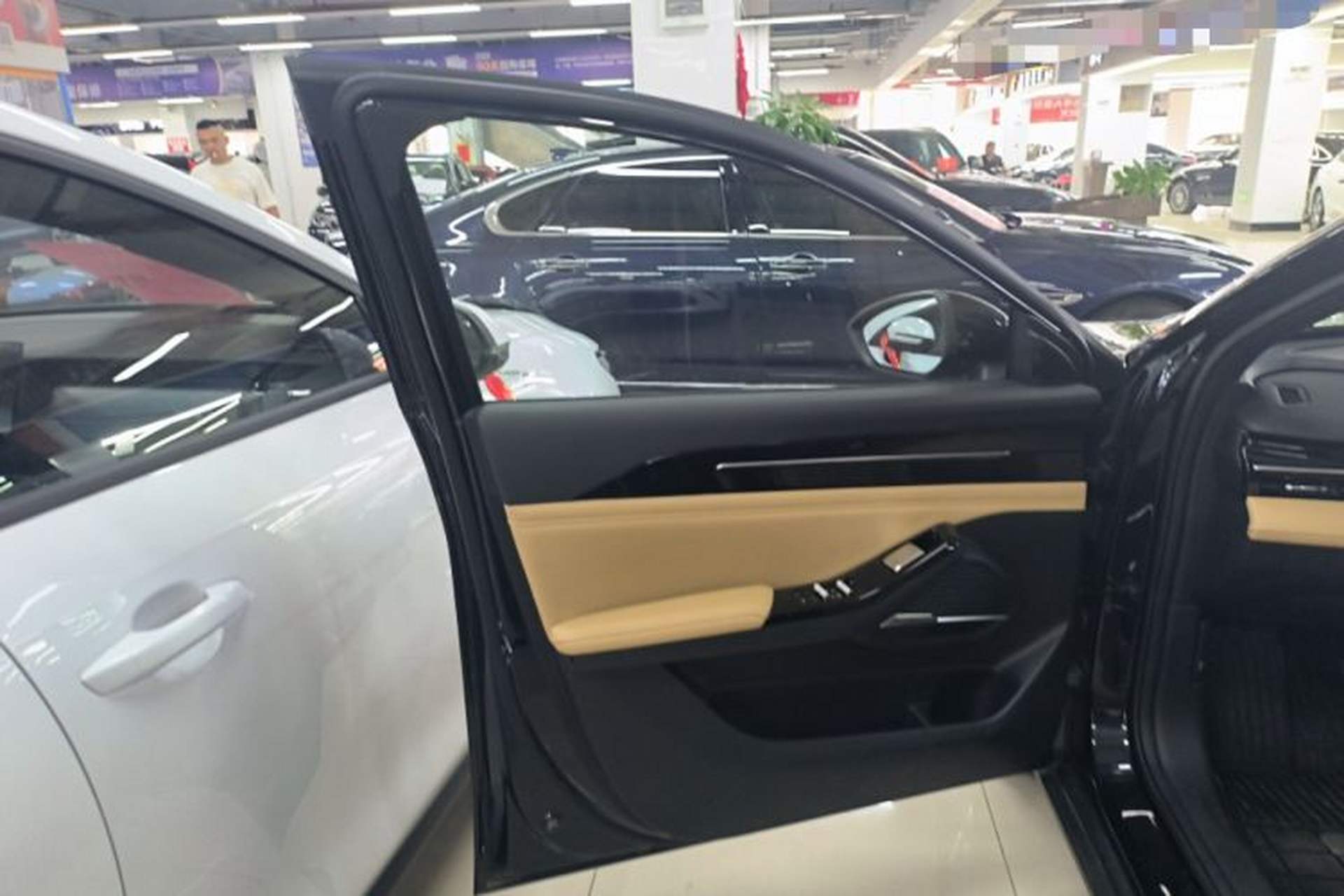 Used Geely Galaxy L6 2024 125km PLUS Dragon Edition Left Front Door Interior