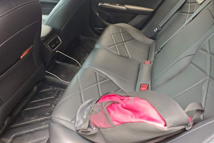 Used Geely Galaxy L6 2024 125km PLUS Dragon Edition Left Rear Seat