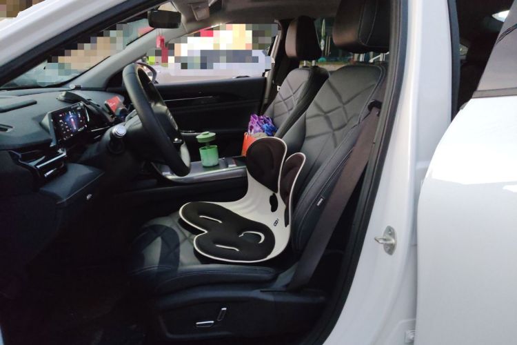 Used Geely Galaxy L6 2024 125km PLUS Dragon Edition Left Front Seat