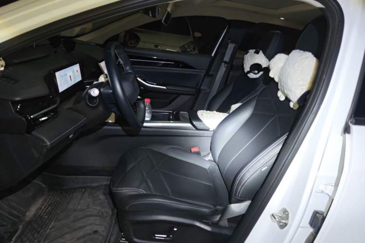 Used Geely Galaxy L6 2024 125km PLUS Dragon Edition Left Front Seat