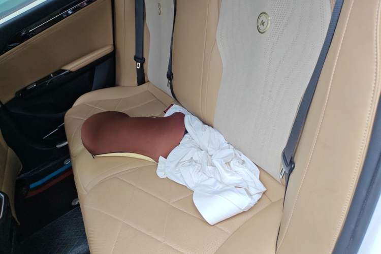 Used Geely Galaxy L6 2024 125km PLUS Dragon Edition Left Rear Seat