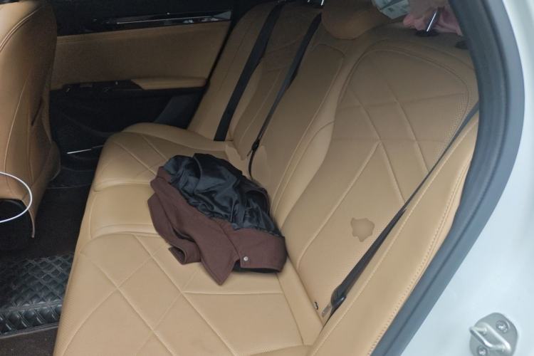 Used Geely Galaxy L6 2024 125km PLUS Dragon Edition Left Rear Seat