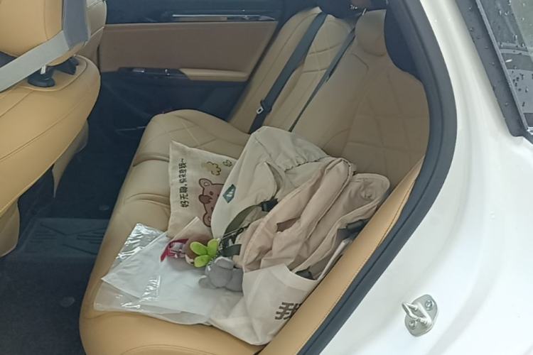 Used Geely Galaxy L6 2024 125km PLUS Dragon Edition Left Rear Seat