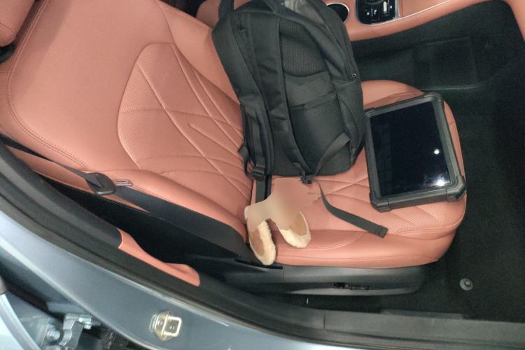 Used Geely Galaxy L6 2025 EM-i 140km Starship Edition Right Front Seat