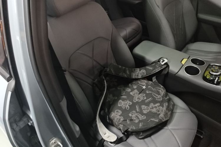 Used Geely Galaxy L6 2025 EM-i 60km Exploration Edition Right Front Seat