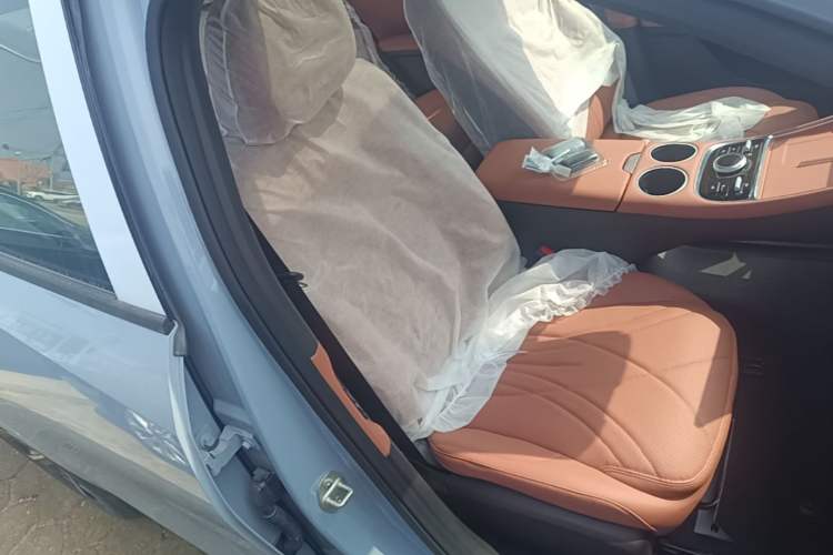 Used Geely Galaxy L6 2025 EM-i 140km Explorer+ Edition Right Front Seat