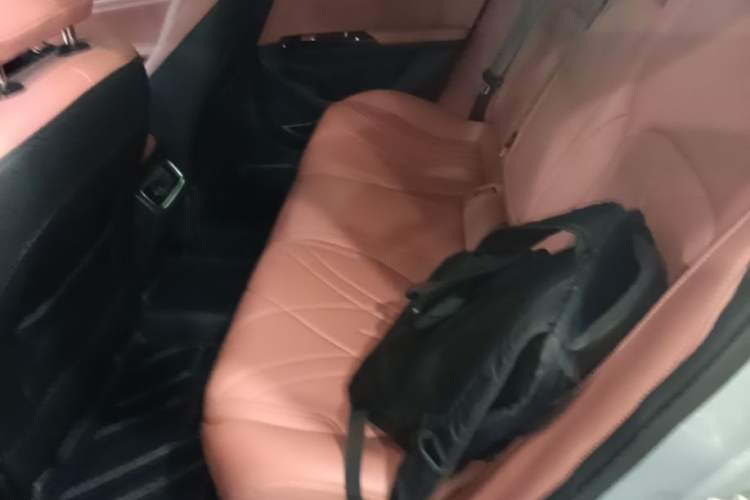 Used Geely Galaxy L6 2025 EM-i 140km Starship Edition Left Rear Seat