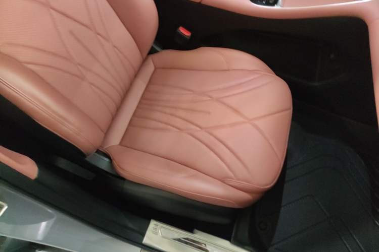 Used Geely Galaxy L6 2025 EM-i 60km Launch Edition Right Front Seat