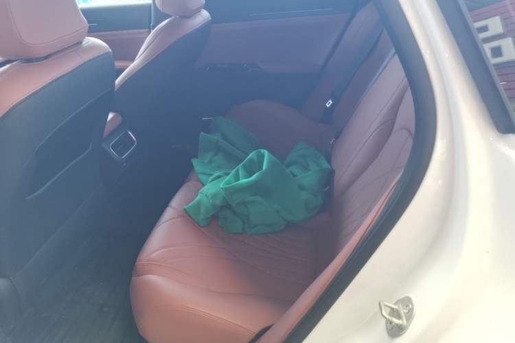 Used Geely Galaxy L6 2025 EM-i 60km Launch Edition Left Rear Seat
