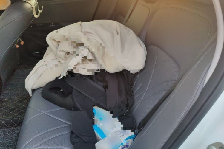 Used Geely Galaxy L6 2025 EM-i 140km Explorer+ Edition Left Rear Seat
