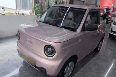 Used Geely Galaxy Panda 2023 Panda Mini 200km Endurance Bear